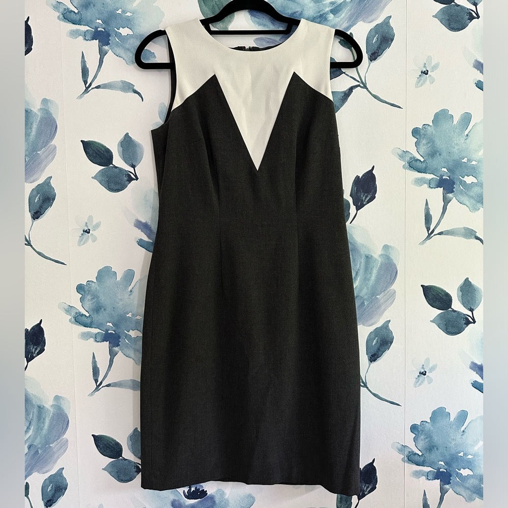 EUC ANN Taylor Shift Dress - Picture 1 of 4